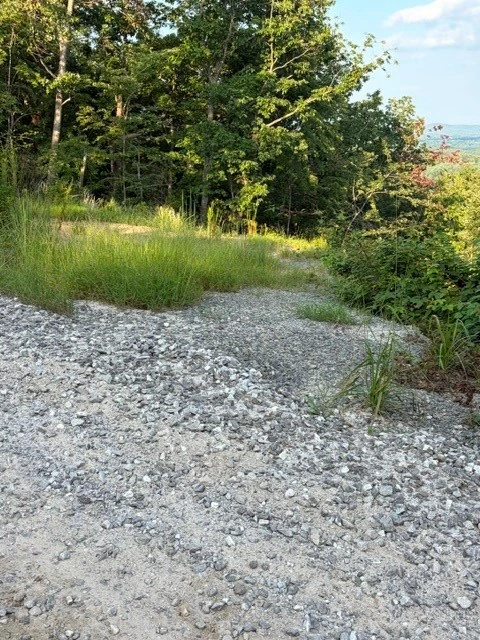 Image number 10 for the current listing