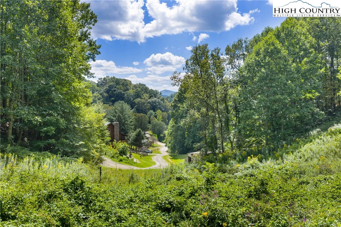 Image number 1 for the current listing