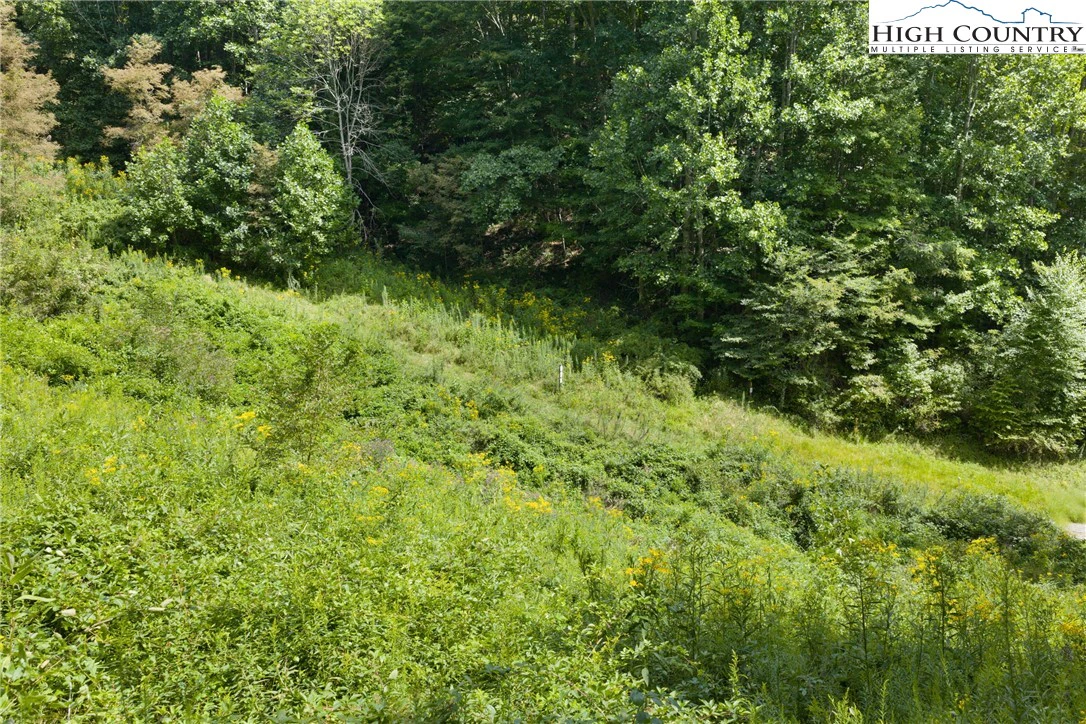 Image number 6 for the current listing