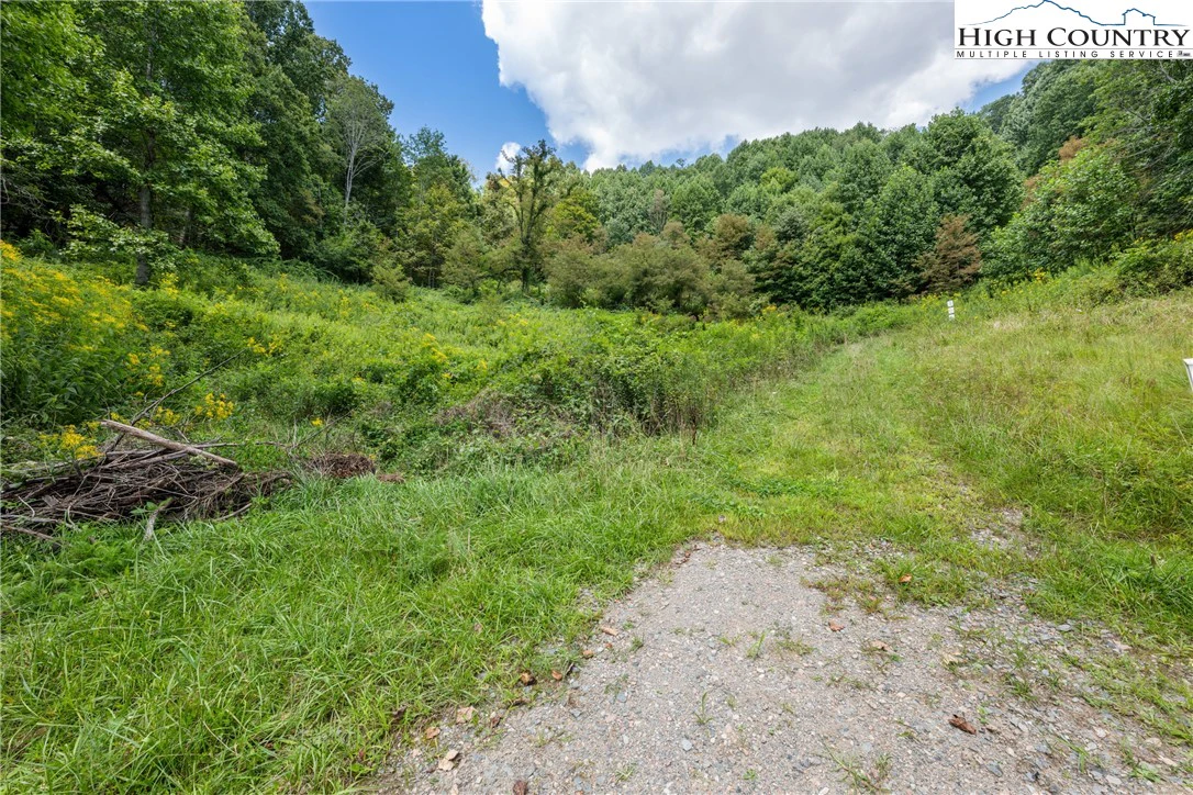 Image number 7 for the current listing