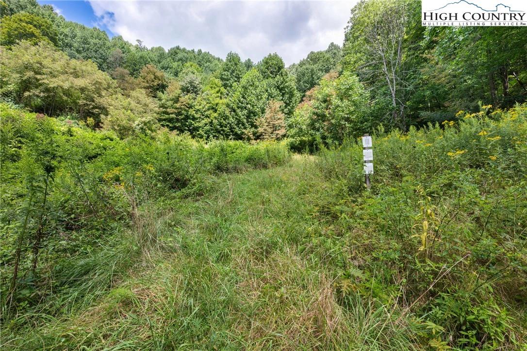 Image number 9 for the current listing