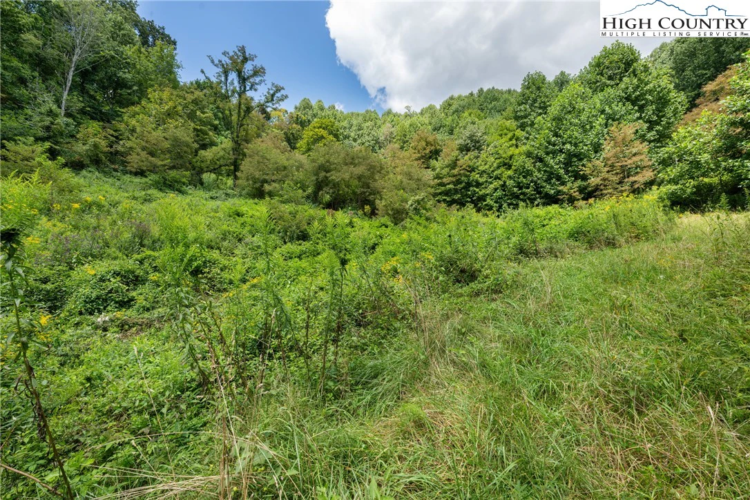 Image number 10 for the current listing
