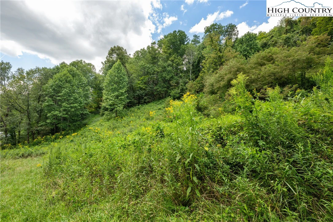 Image number 11 for the current listing