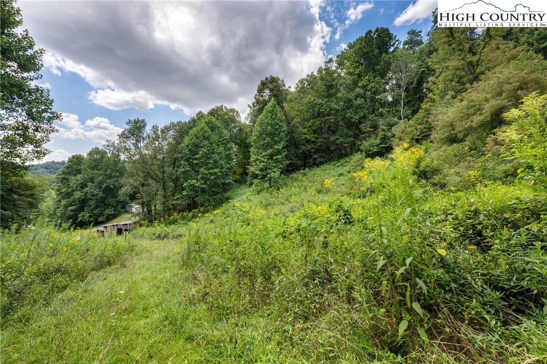 Image number 12 for the current listing
