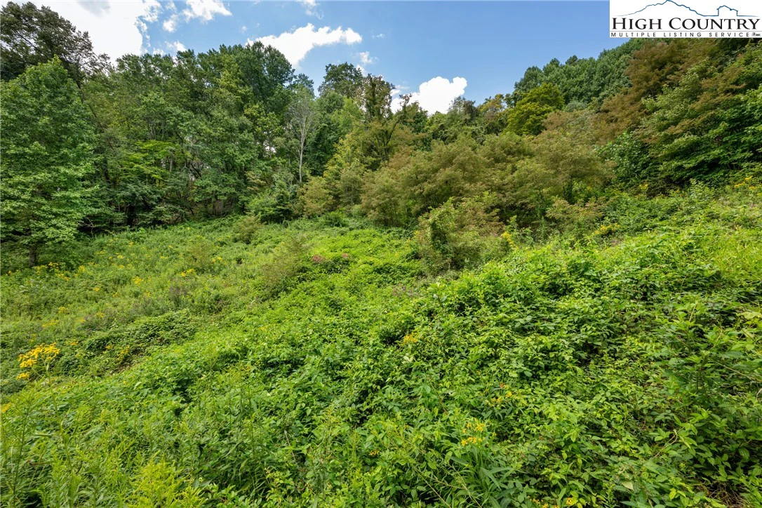 Image number 13 for the current listing