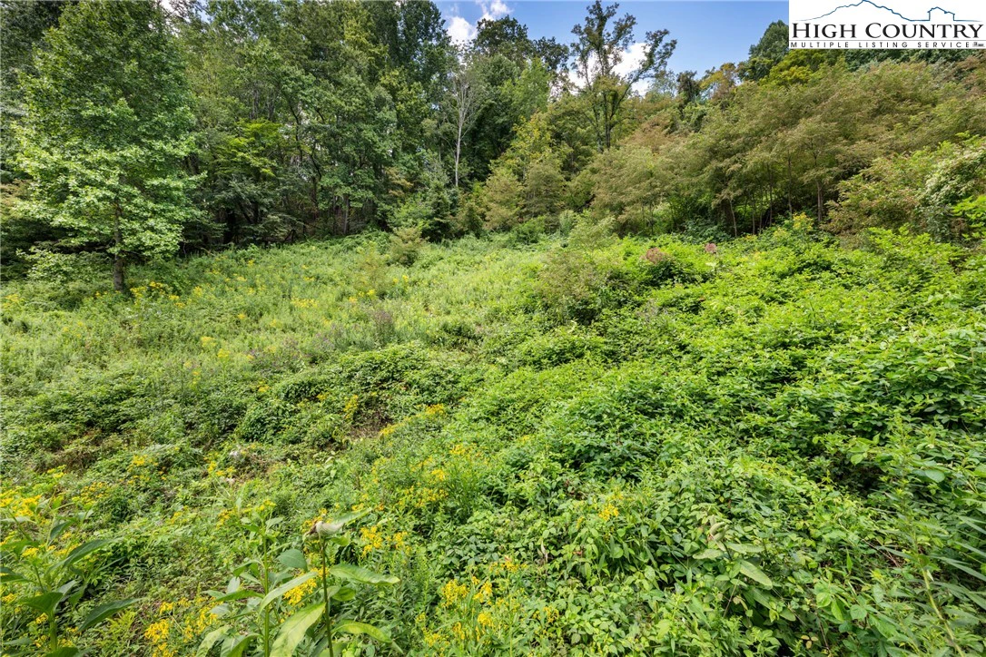 Image number 14 for the current listing