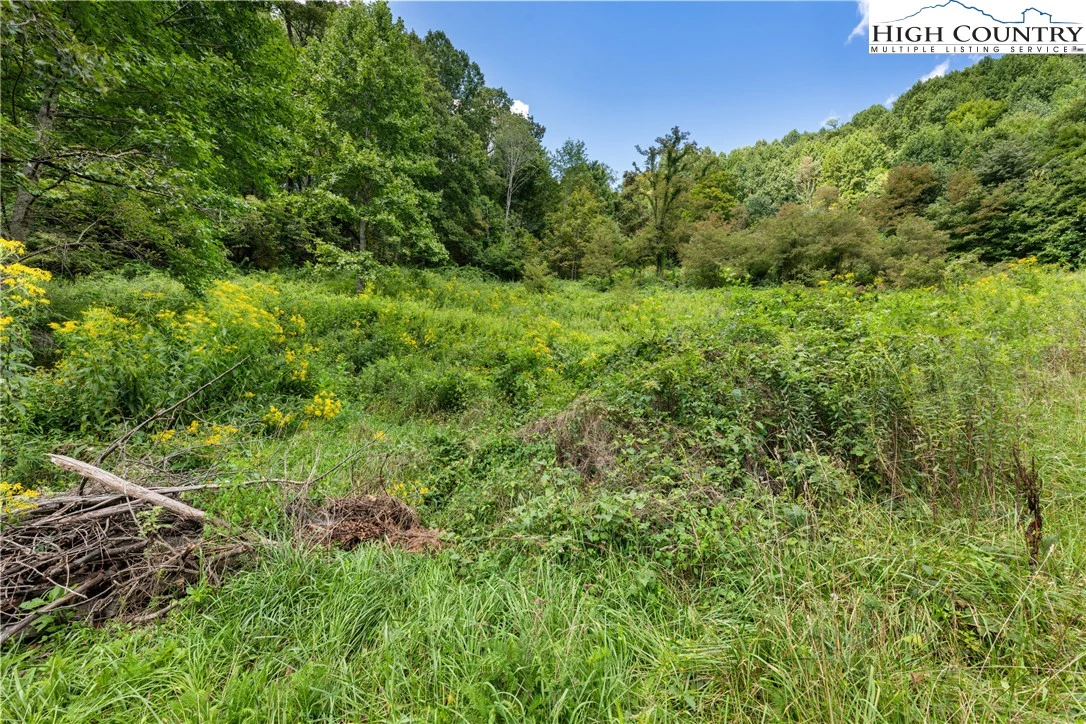 Image number 15 for the current listing