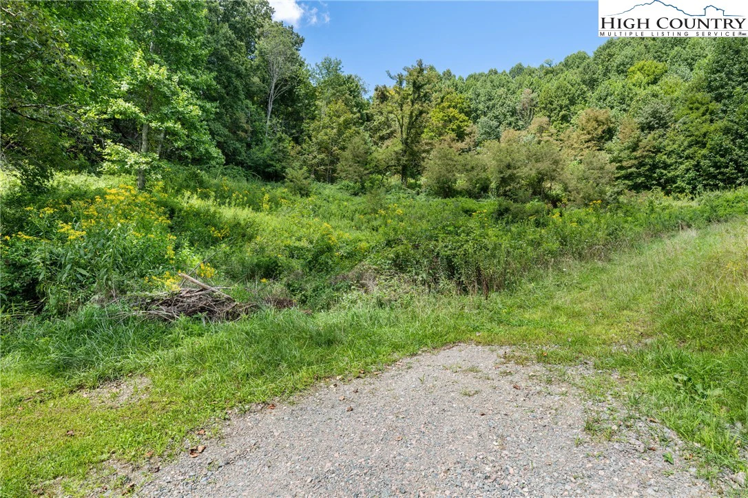 Image number 16 for the current listing