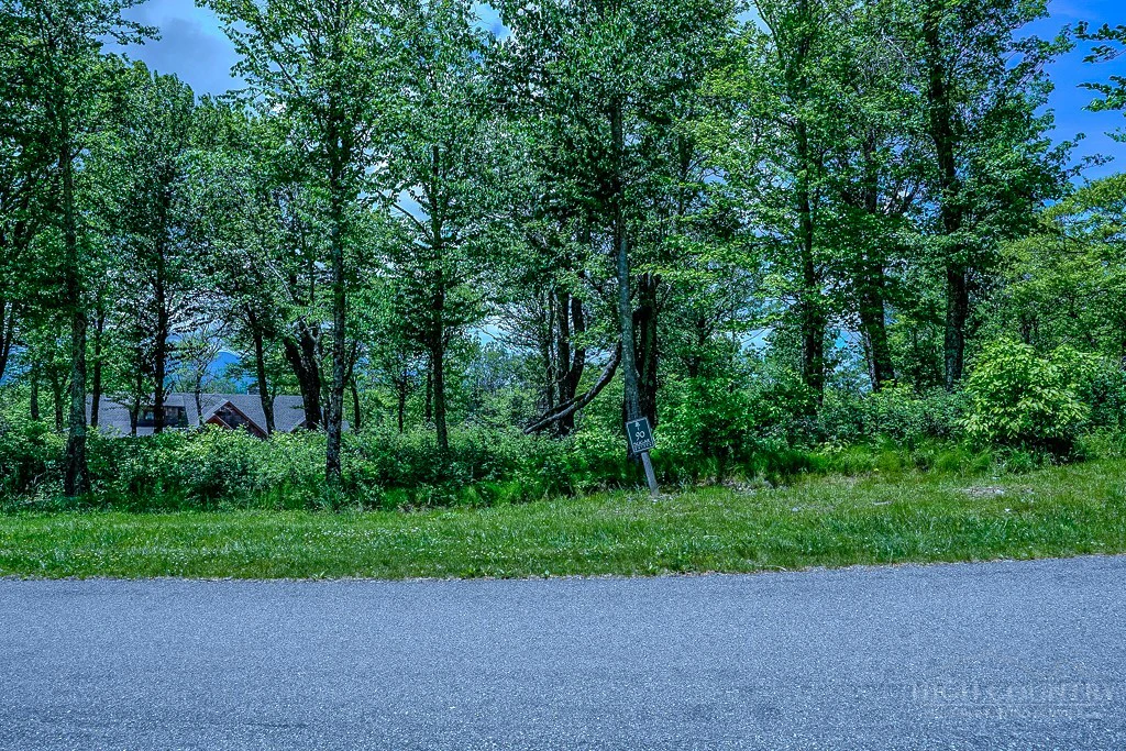 Image number 2 for the current listing