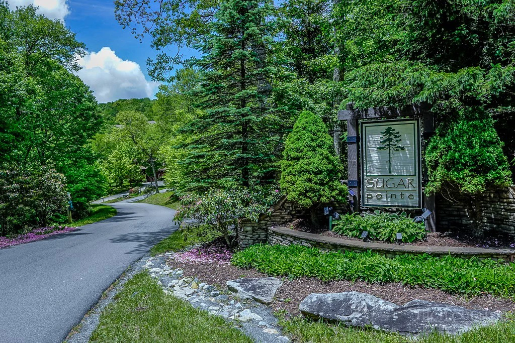 Image number 5 for the current listing