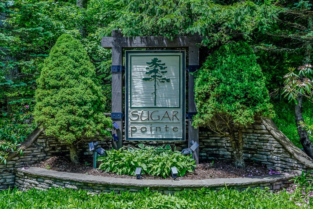 Image number 7 for the current listing