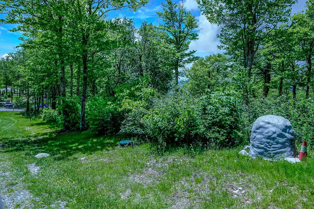 Image number 8 for the current listing
