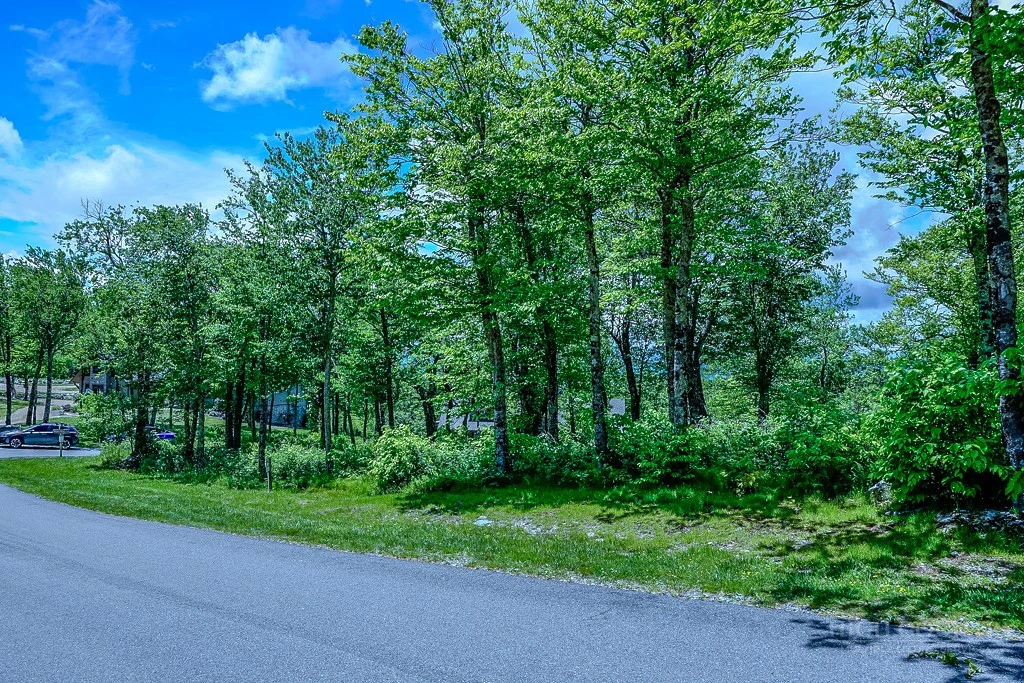 Image number 9 for the current listing