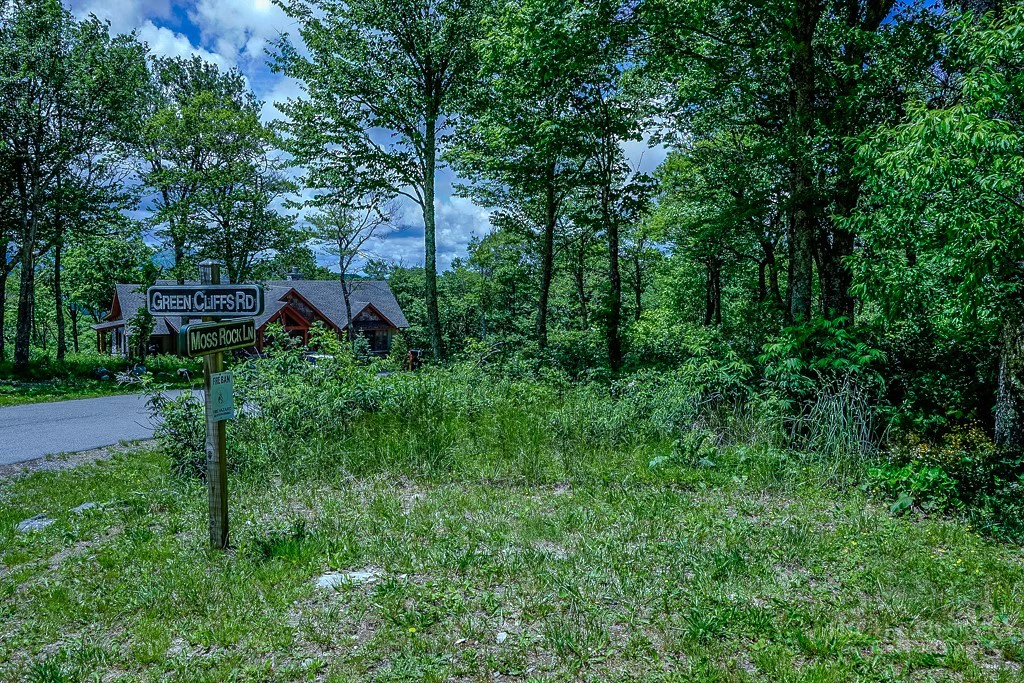 Image number 10 for the current listing