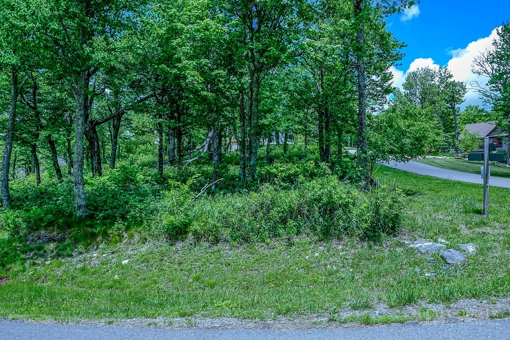 Image number 11 for the current listing