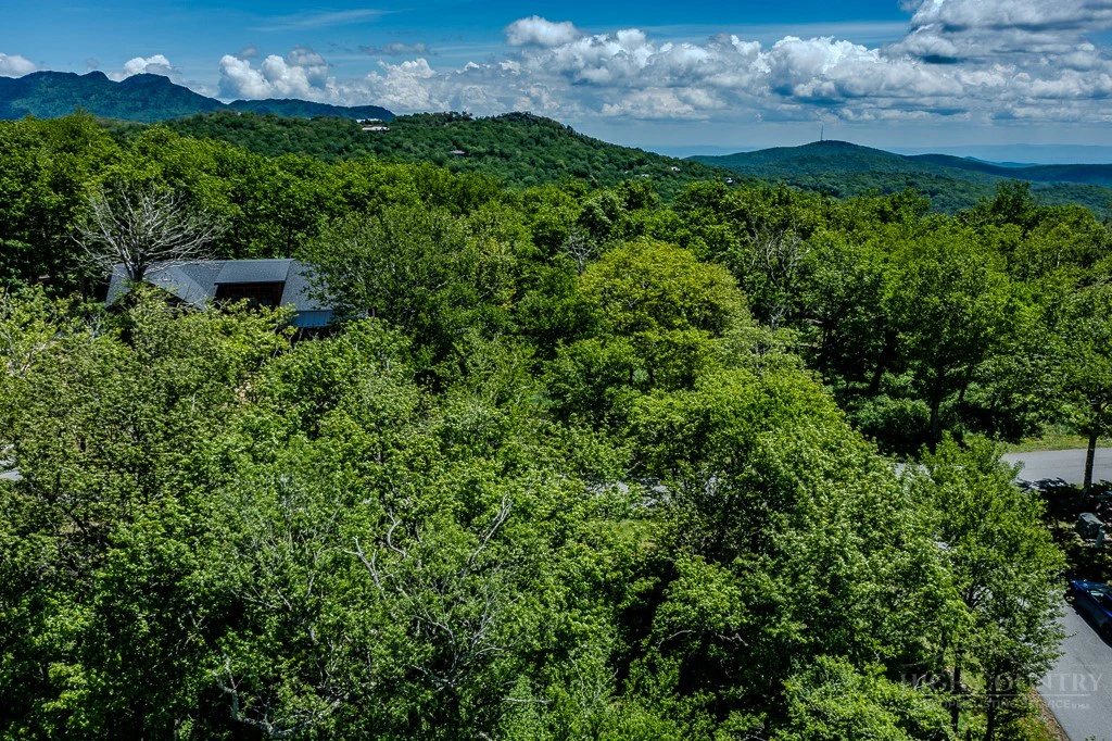 Image number 15 for the current listing