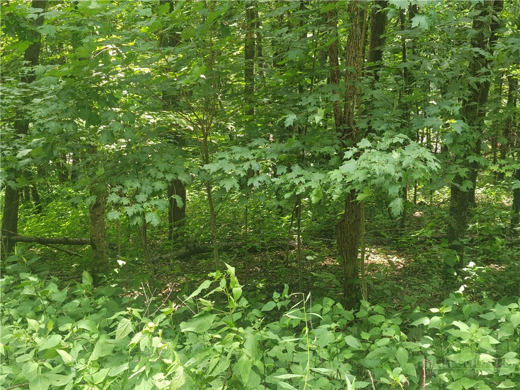 Image number 1 for the current listing