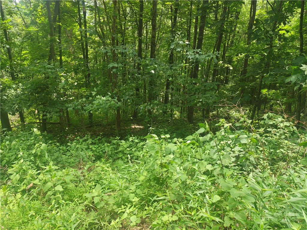 Image number 2 for the current listing
