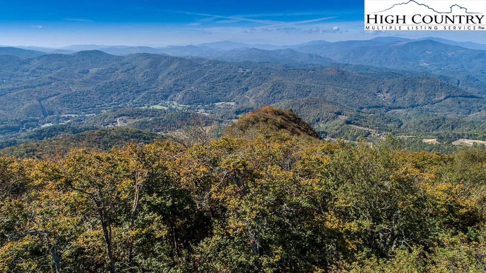 Image number 1 for the current listing
