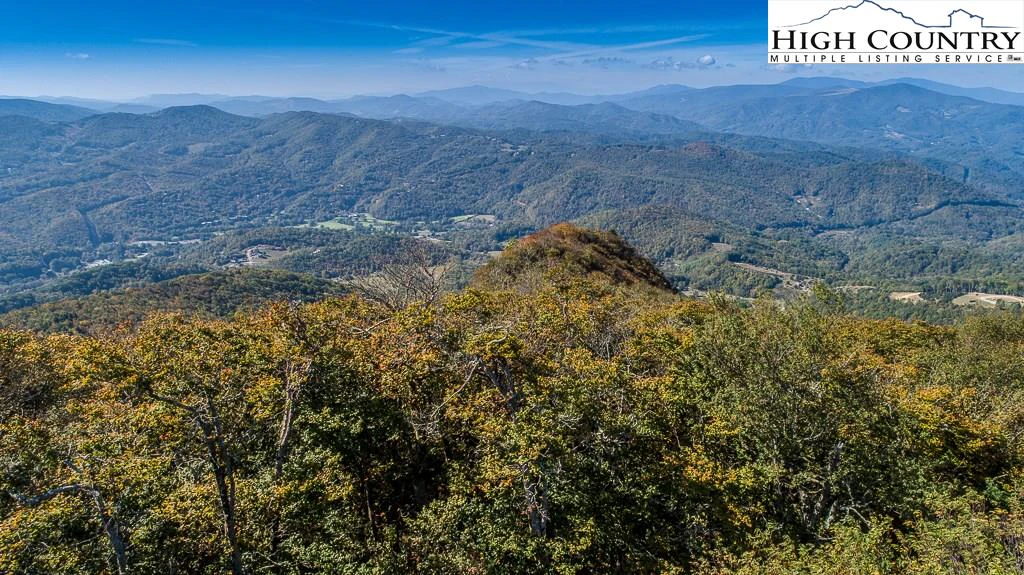 Image number 1 for the current listing