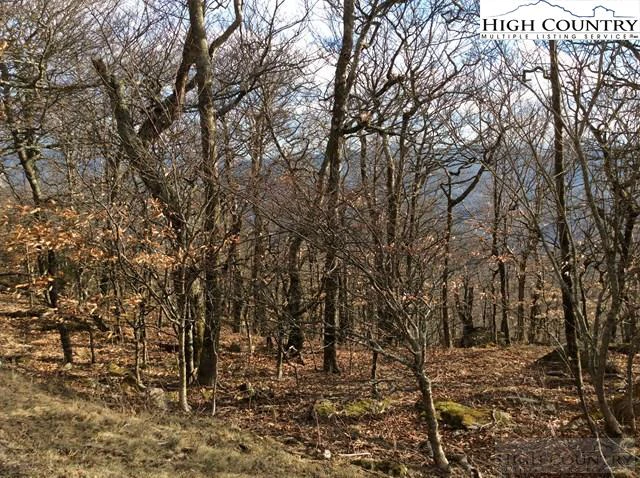 Image number 14 for the current listing