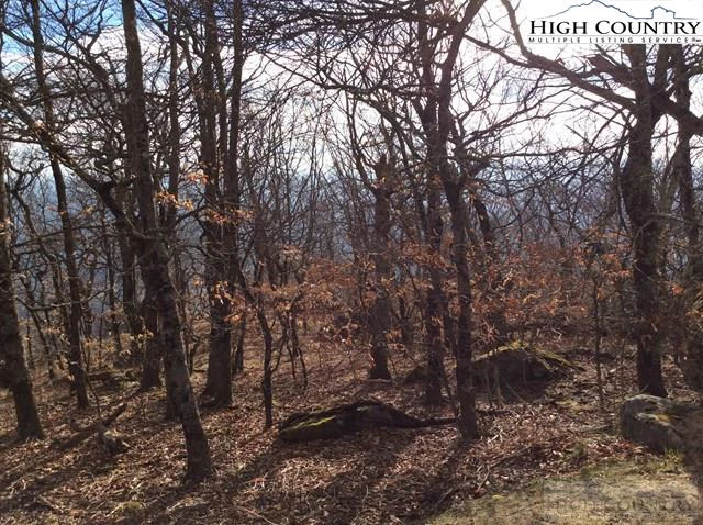 Image number 15 for the current listing