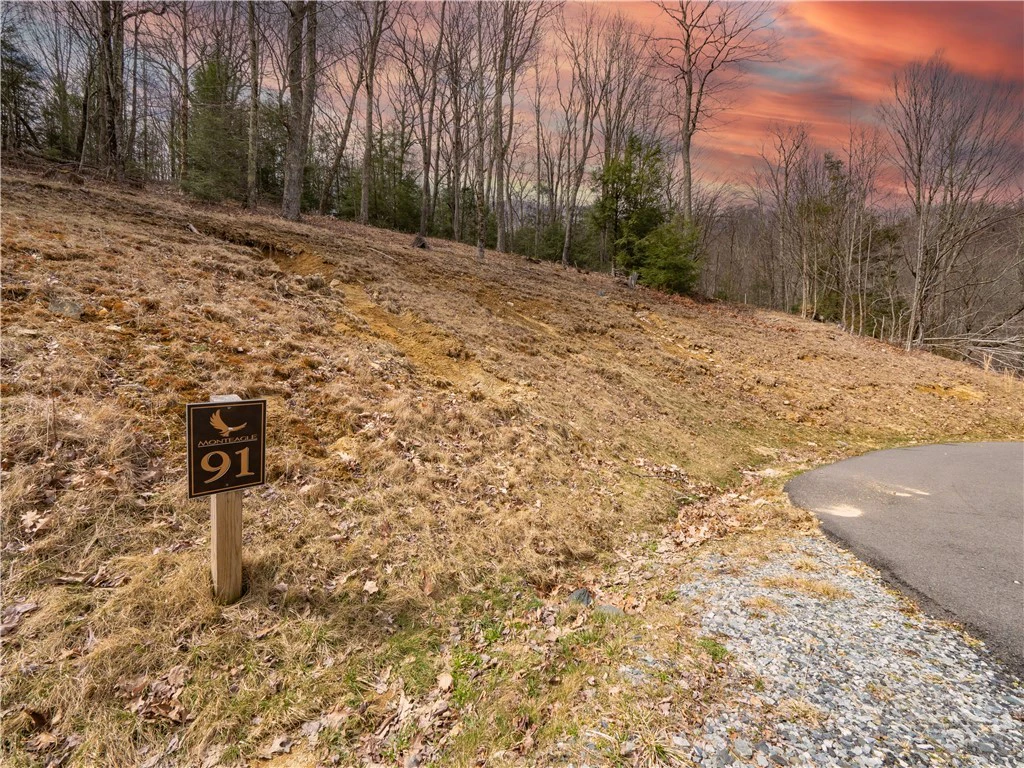 Image number 1 for the current listing