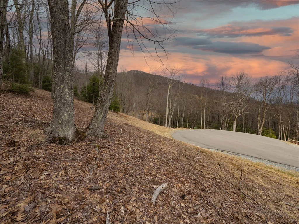 Image number 3 for the current listing