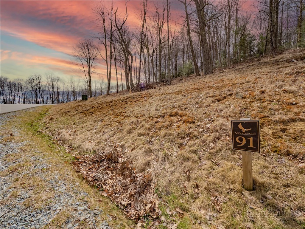 Image number 4 for the current listing
