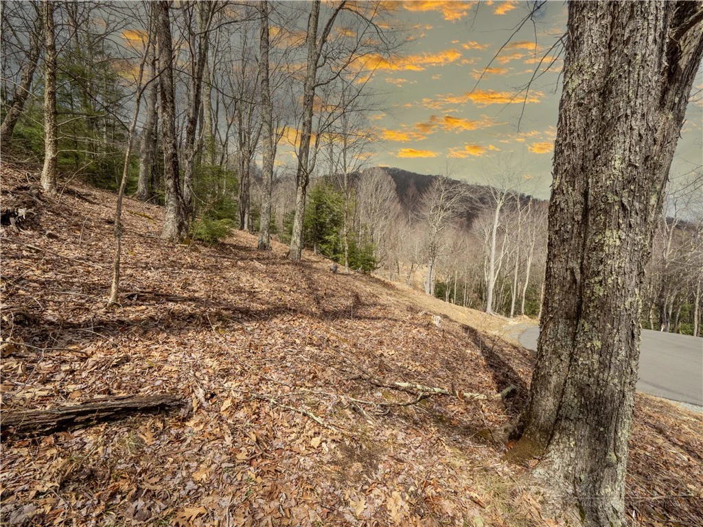 Image number 6 for the current listing