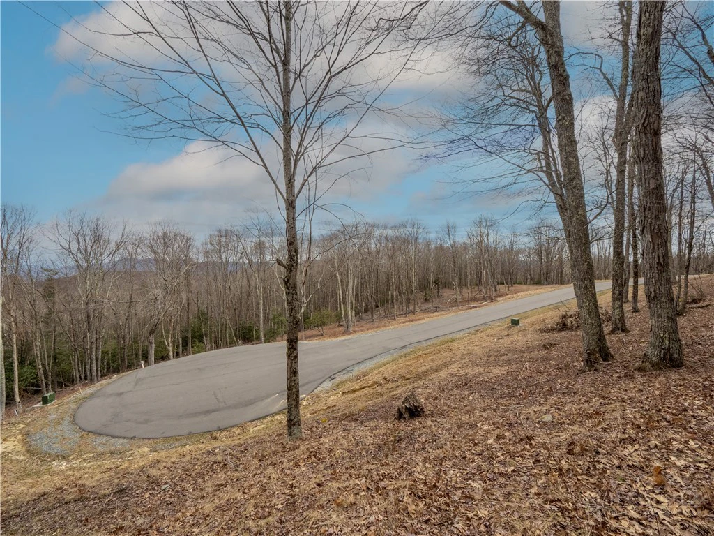 Image number 7 for the current listing