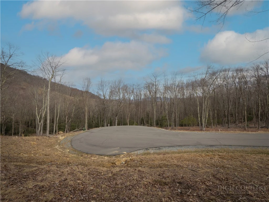 Image number 8 for the current listing