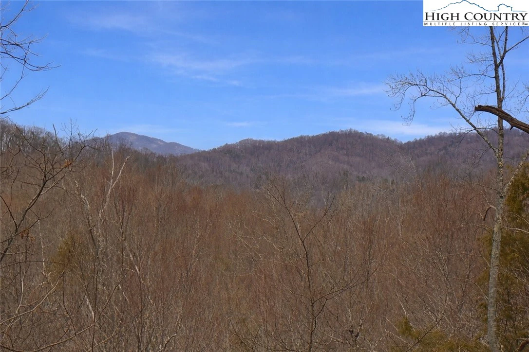 Image number 1 for the current listing