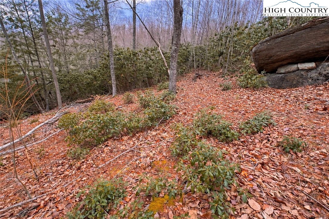 Image number 3 for the current listing