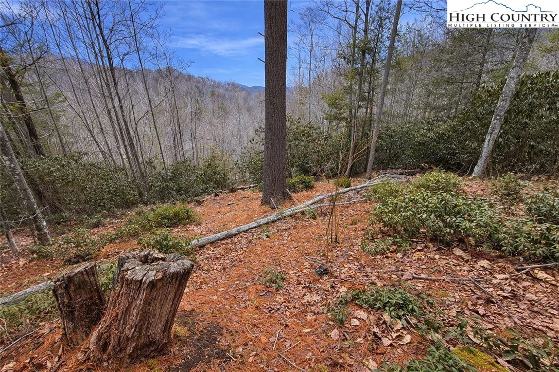 Image number 4 for the current listing
