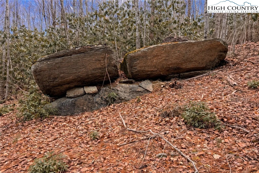 Image number 5 for the current listing