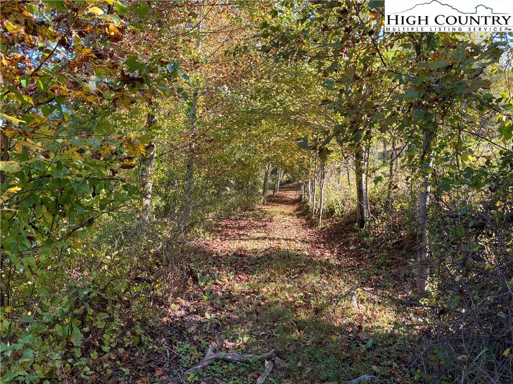 Image number 18 for the current listing