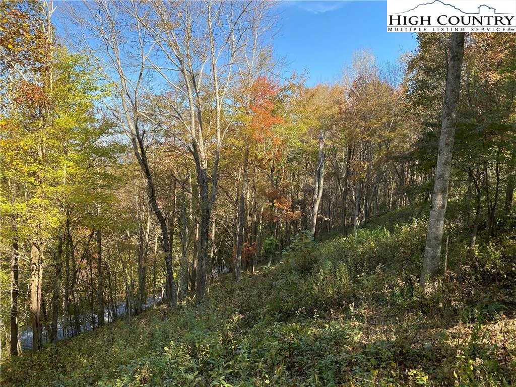 Image number 17 for the current listing