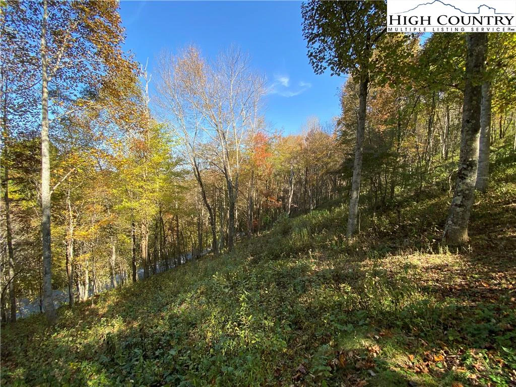 Image number 16 for the current listing