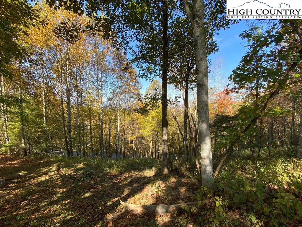 Image number 2 for the current listing