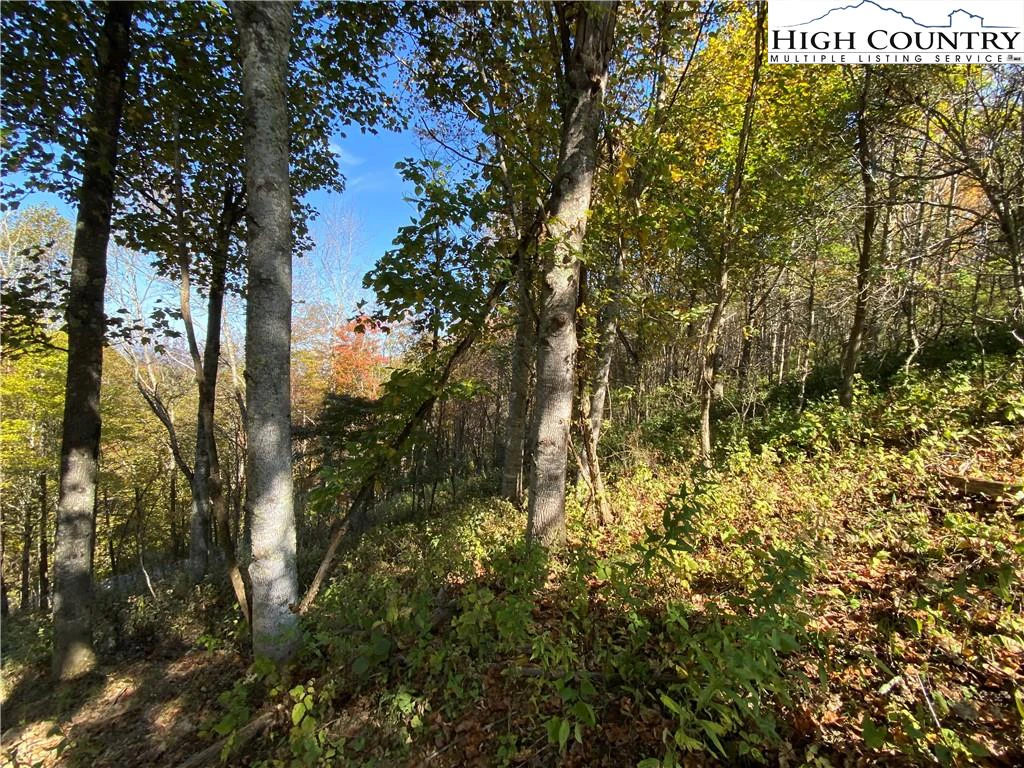Image number 15 for the current listing