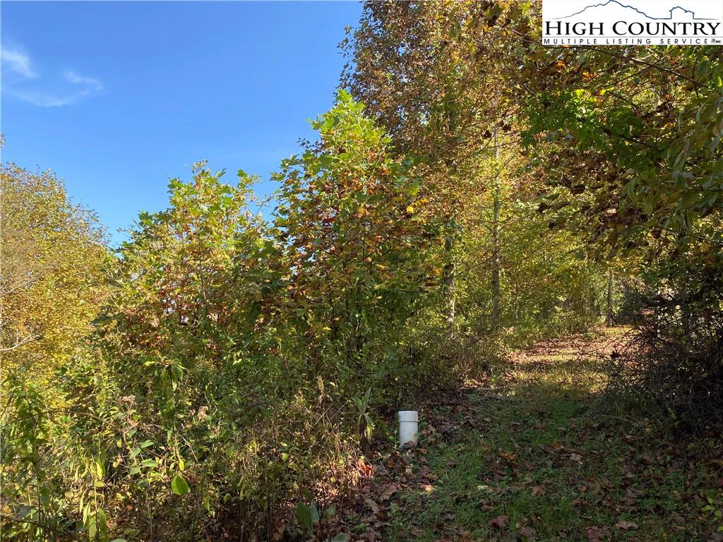Image number 14 for the current listing
