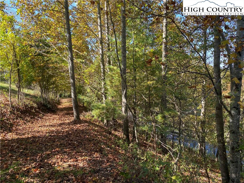 Image number 13 for the current listing