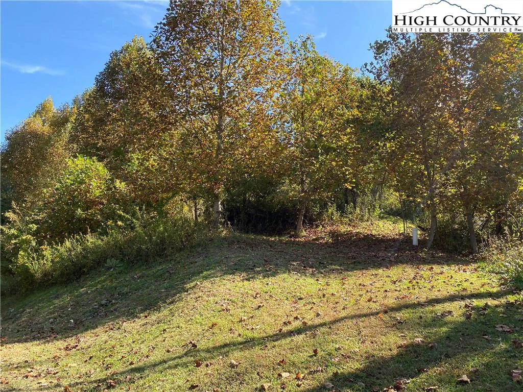 Image number 12 for the current listing