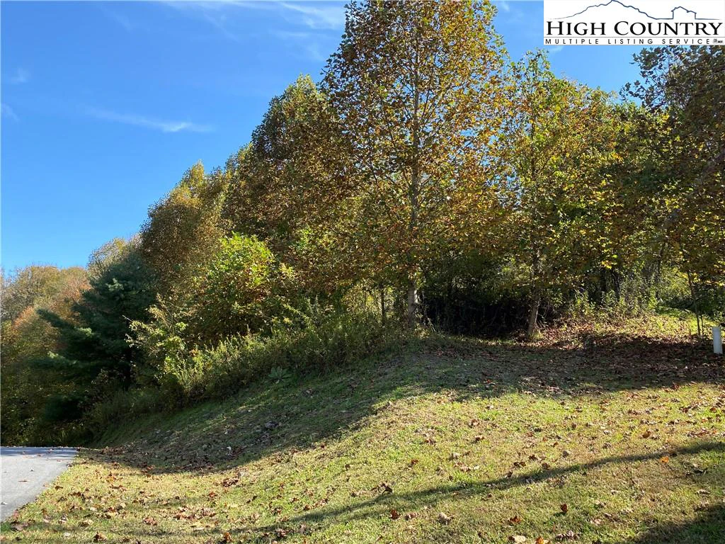 Image number 11 for the current listing