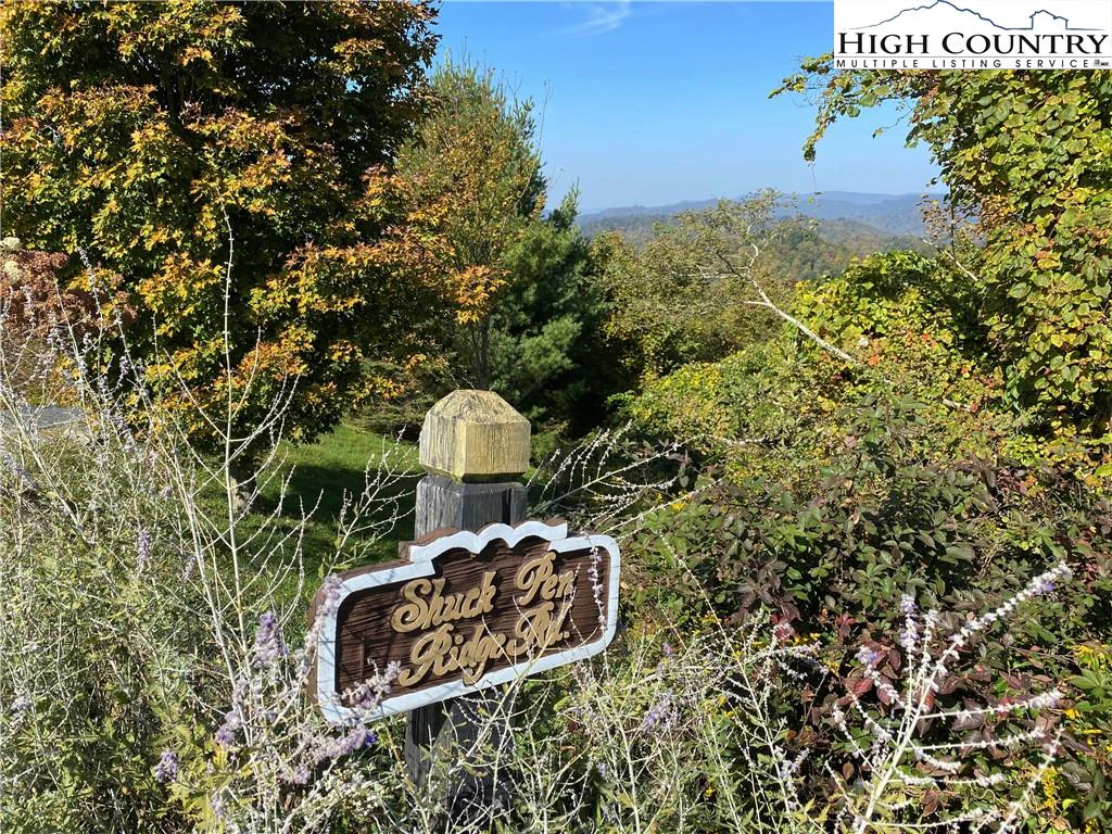Image number 9 for the current listing