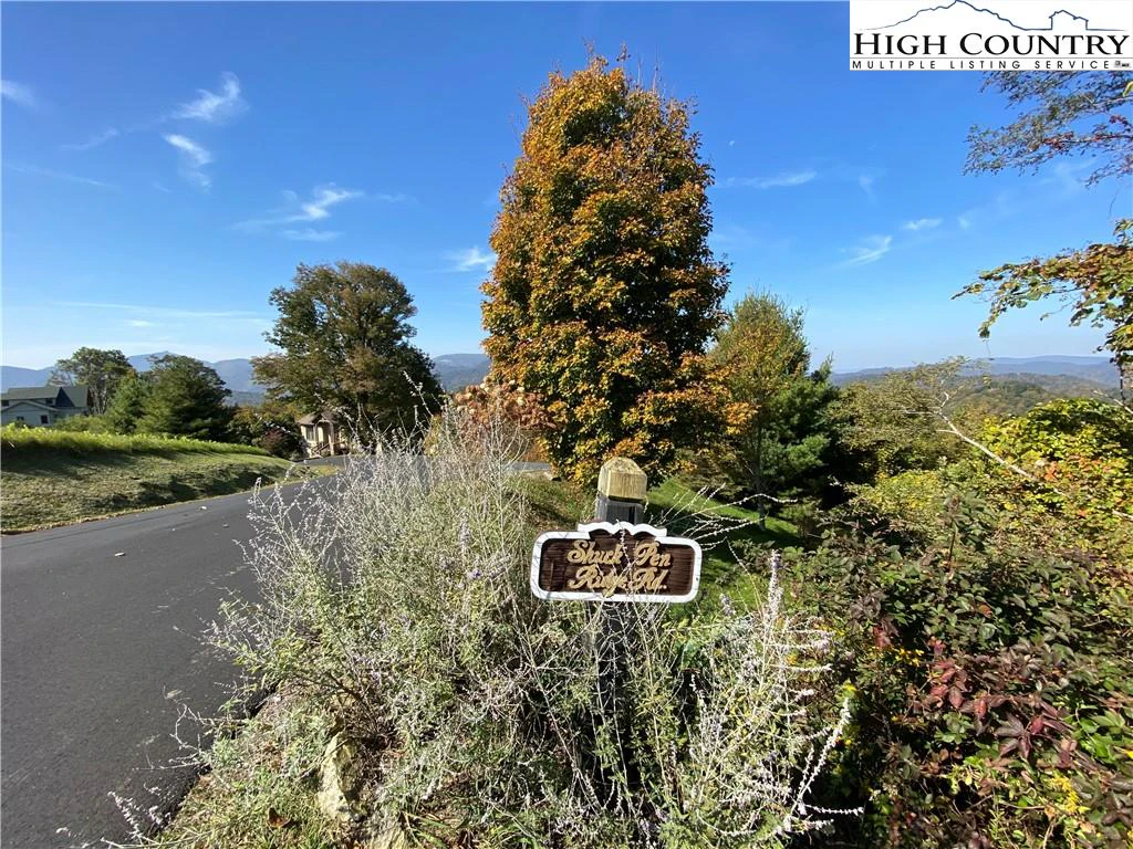 Image number 8 for the current listing