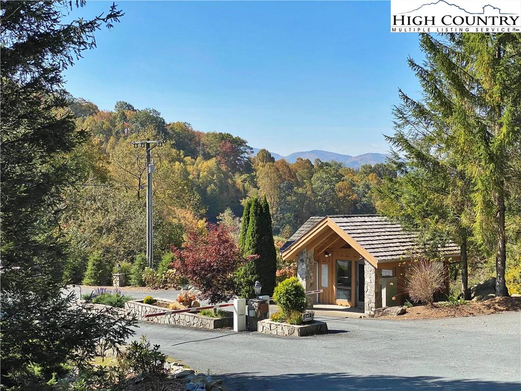 Image number 7 for the current listing