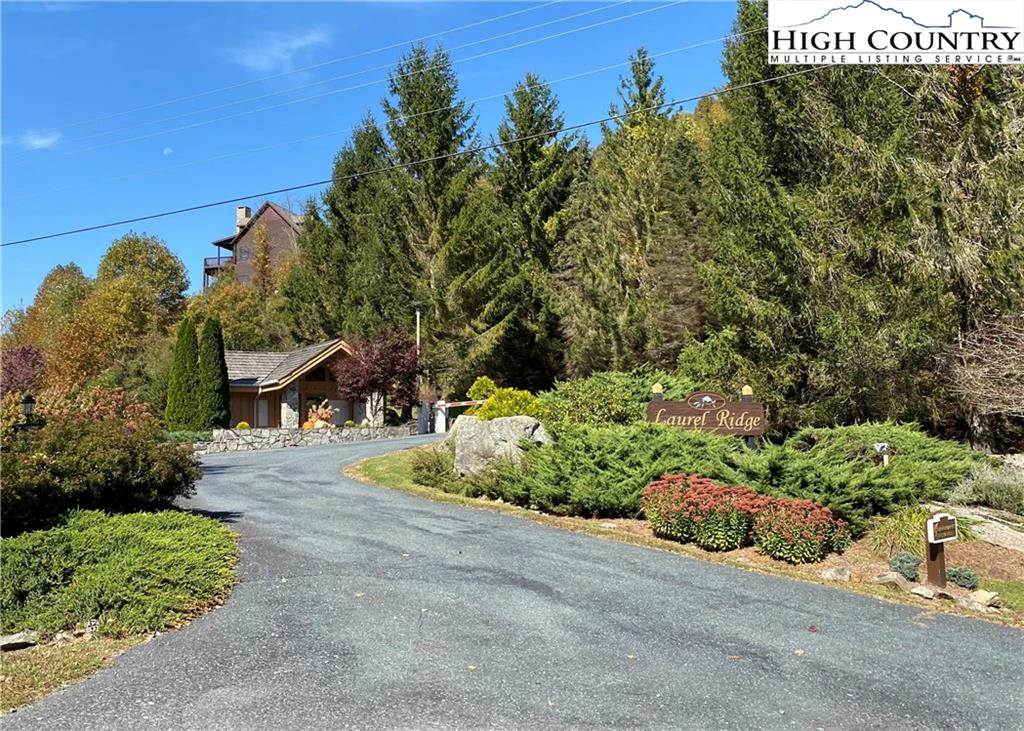 Image number 4 for the current listing