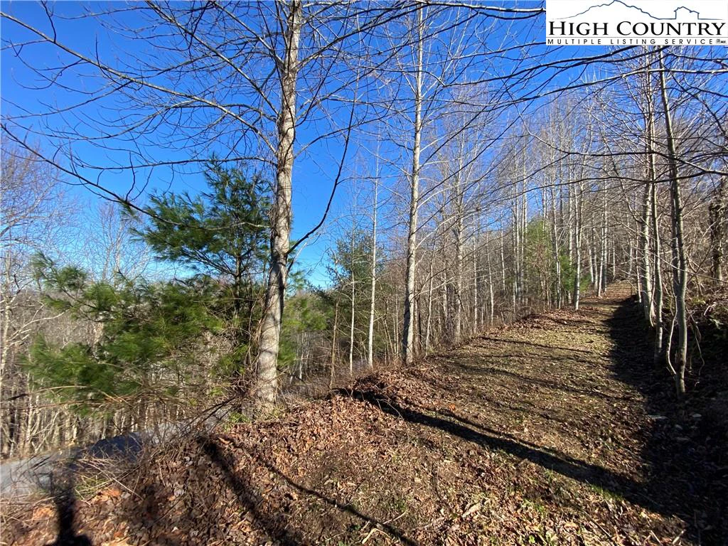 Image number 3 for the current listing